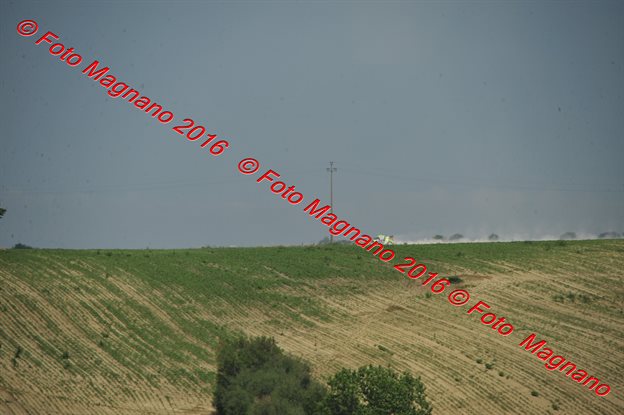DSC_4784.JPG